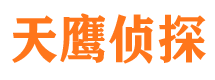 六合市侦探公司